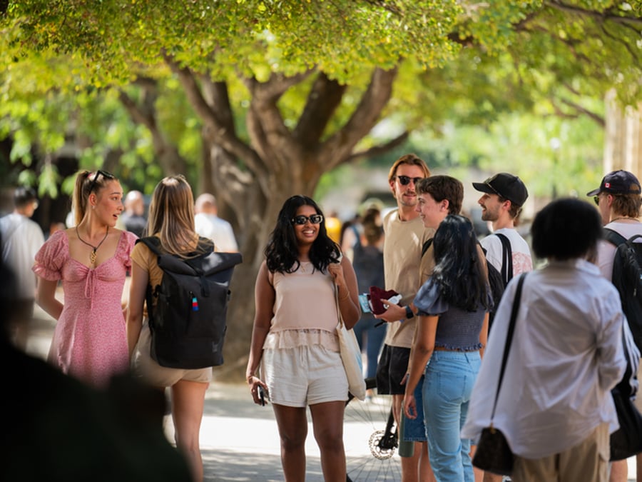 Postgraduate students studying together